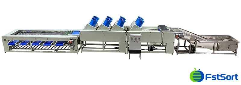 خط غسيل وتجفيف وتصنيف التمور.jpg خط غسيل وتجفيف وتصنيف التمور.jpg